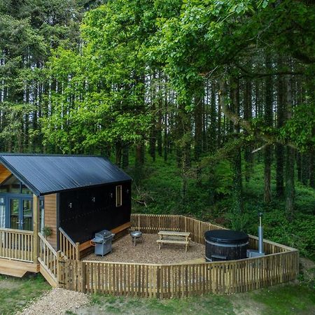Cabin In The Woods - 1 Bedroom Lodge - Kilgetty Stepaside  Esterno foto