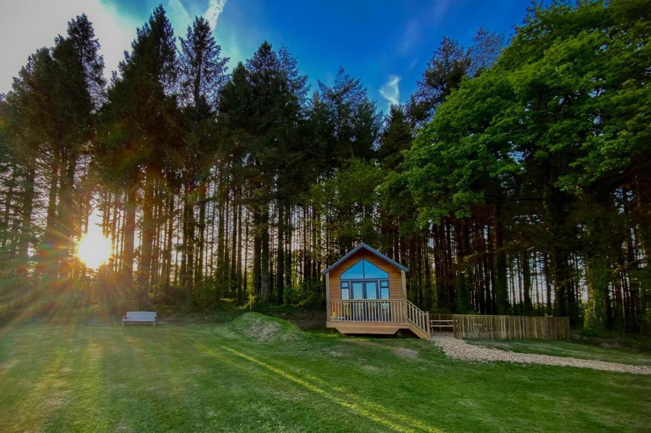 Cabin In The Woods - 1 Bedroom Lodge - Kilgetty Stepaside  Esterno foto