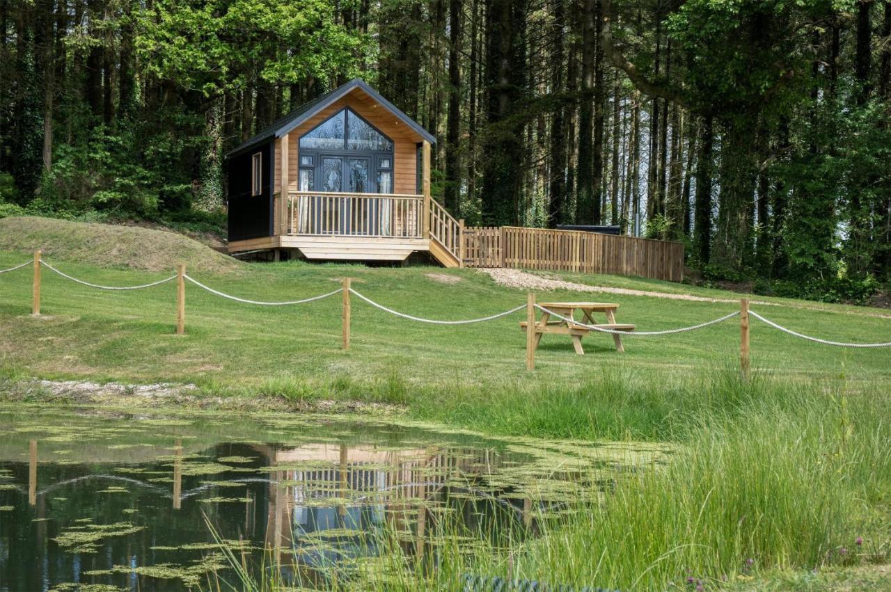 Cabin In The Woods - 1 Bedroom Lodge - Kilgetty Stepaside  Esterno foto