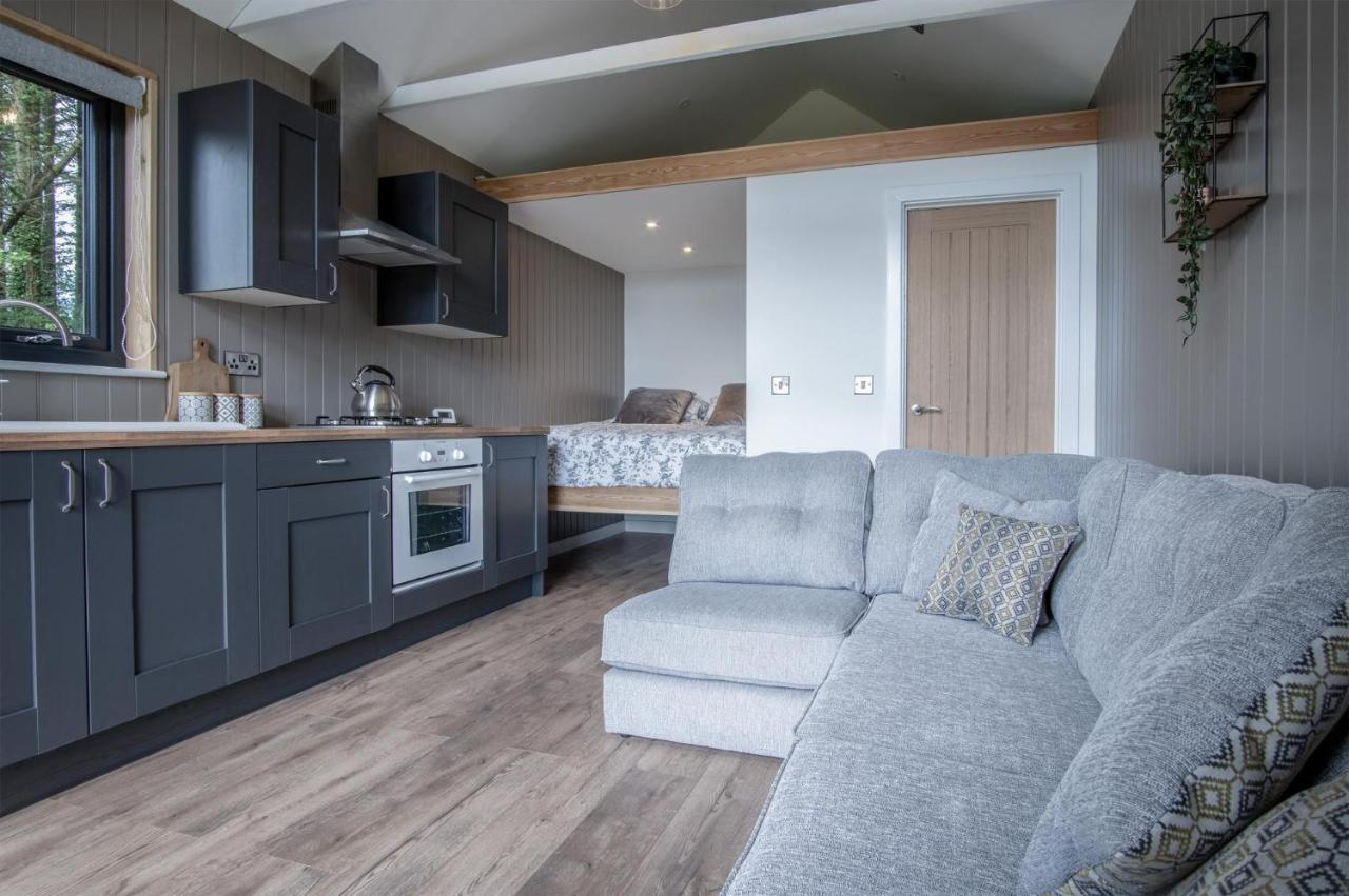 Cabin In The Woods - 1 Bedroom Lodge - Kilgetty Stepaside  Esterno foto