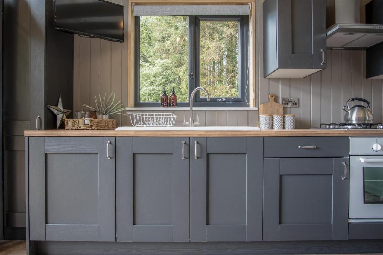 Cabin In The Woods - 1 Bedroom Lodge - Kilgetty Stepaside  Esterno foto