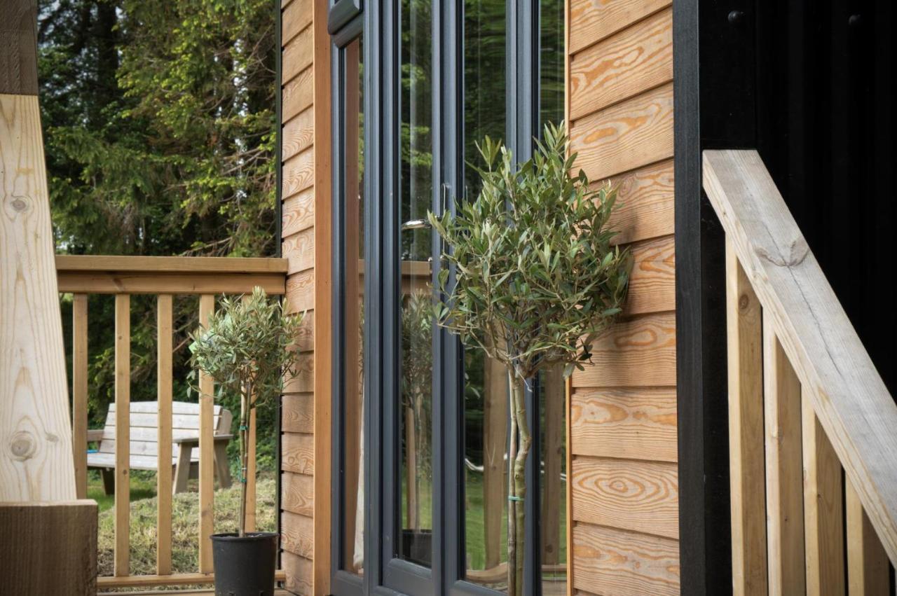 Cabin In The Woods - 1 Bedroom Lodge - Kilgetty Stepaside  Esterno foto