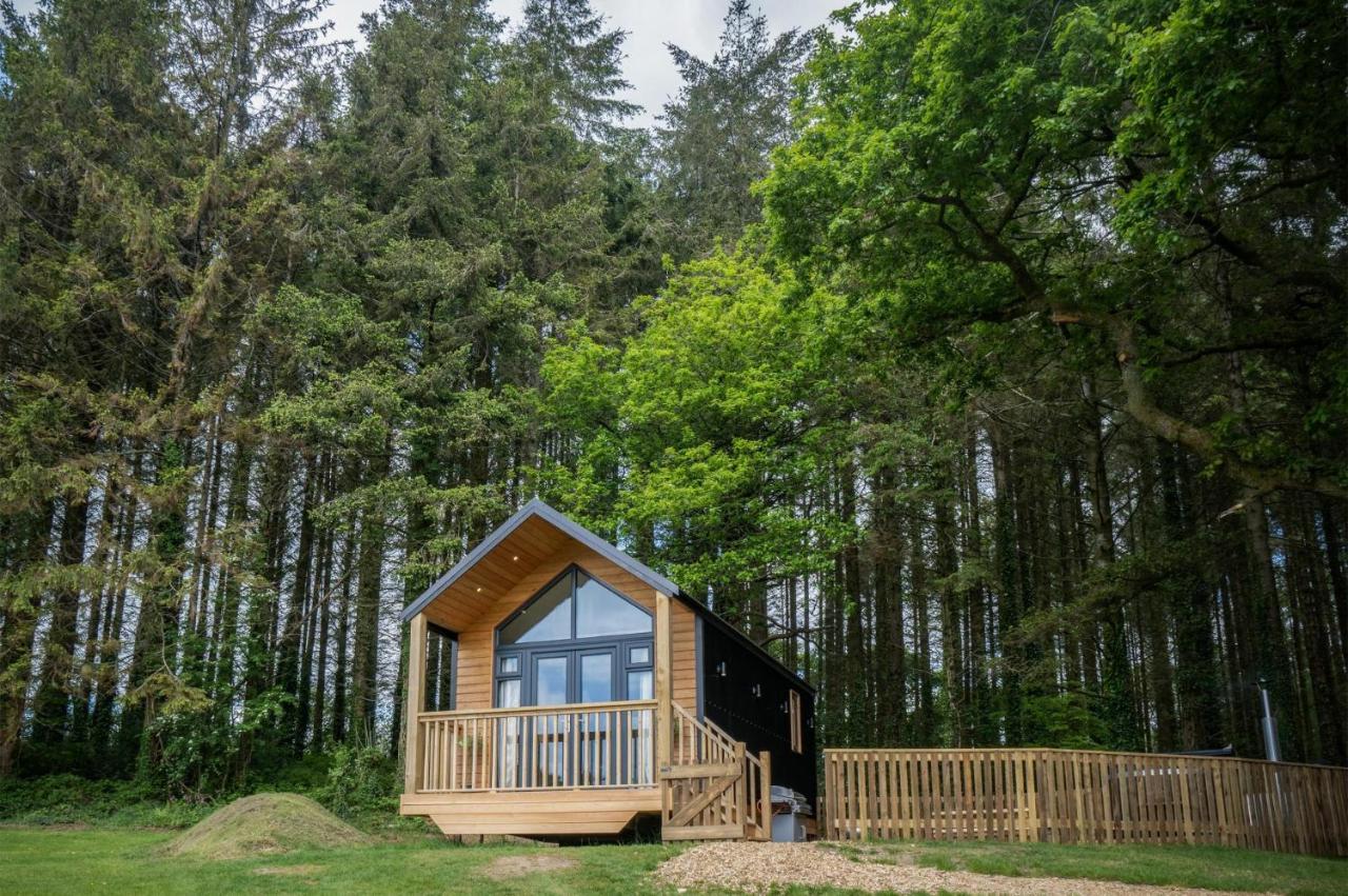 Cabin In The Woods - 1 Bedroom Lodge - Kilgetty Stepaside  Esterno foto