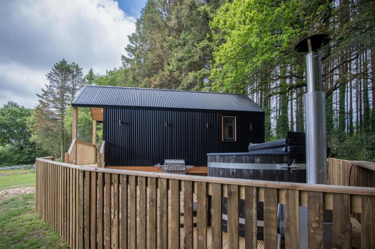Cabin In The Woods - 1 Bedroom Lodge - Kilgetty Stepaside  Esterno foto