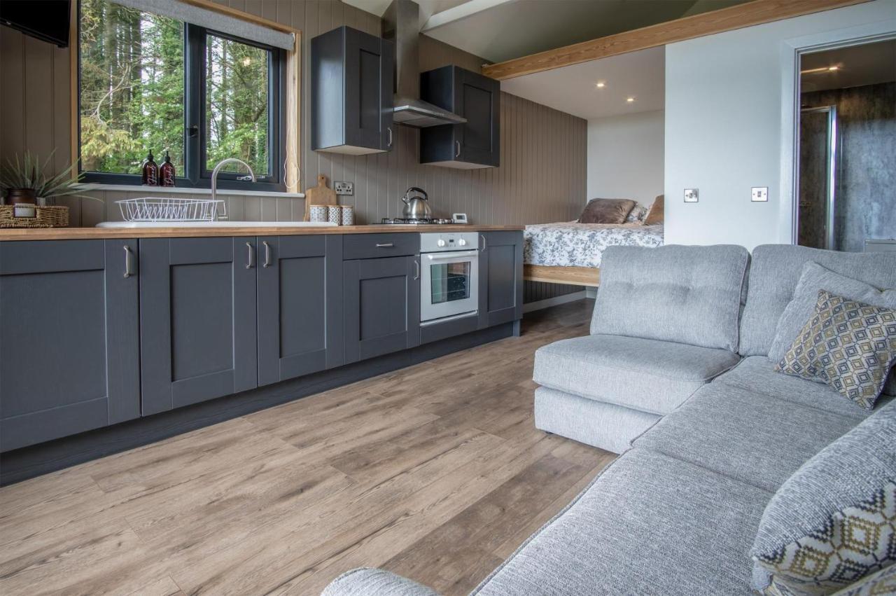 Cabin In The Woods - 1 Bedroom Lodge - Kilgetty Stepaside  Esterno foto