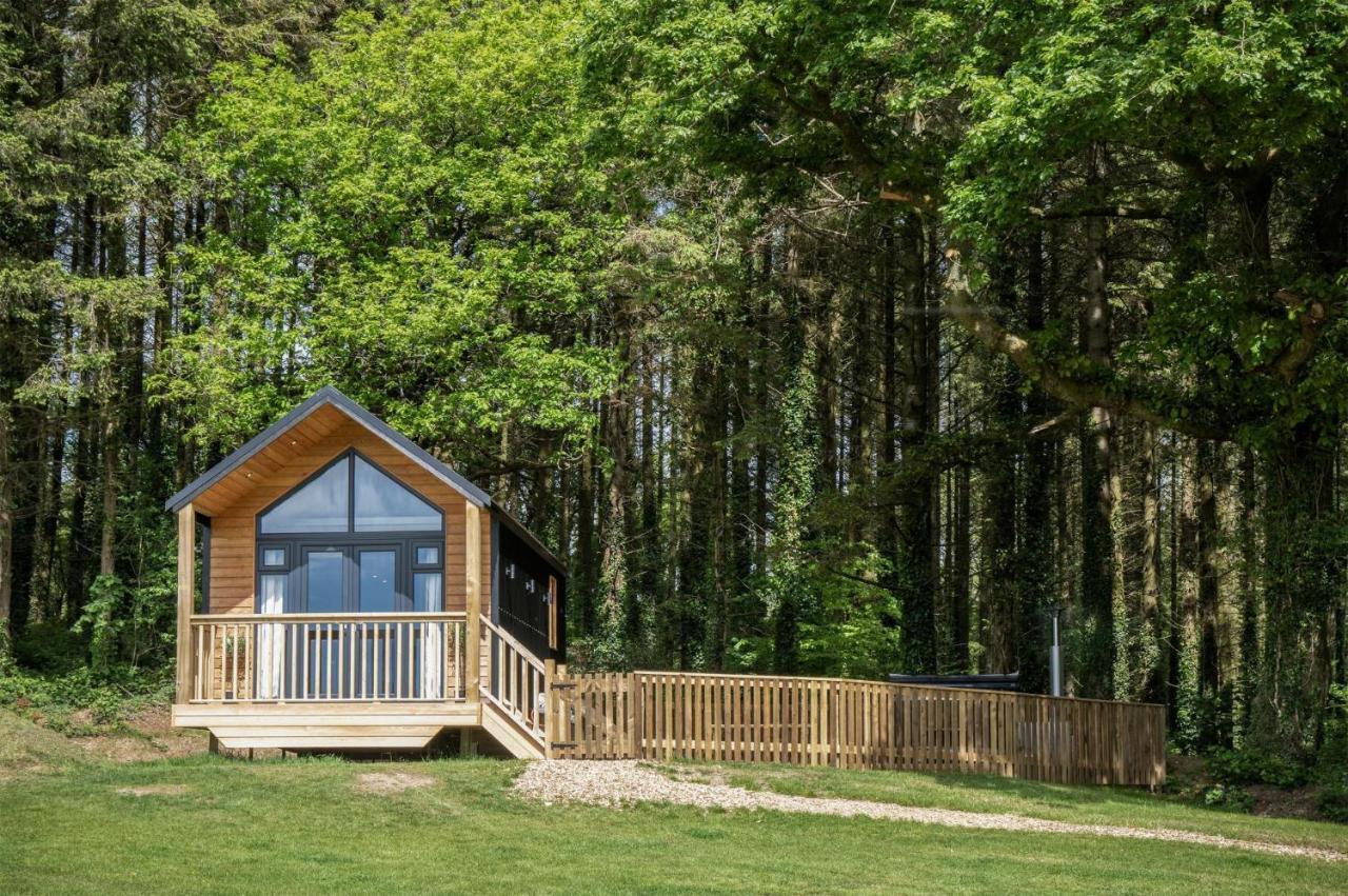 Cabin In The Woods - 1 Bedroom Lodge - Kilgetty Stepaside  Esterno foto