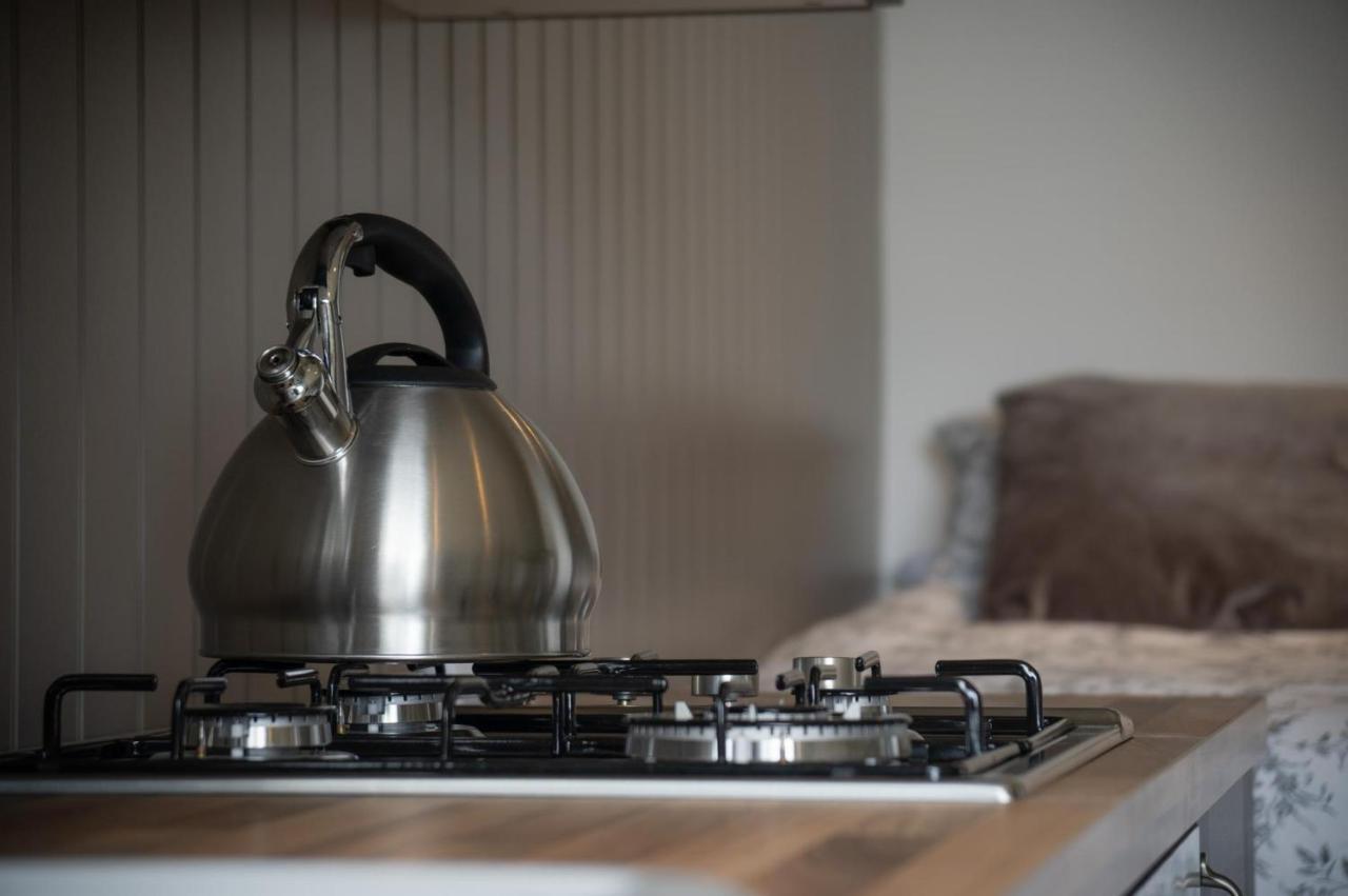 Cabin In The Woods - 1 Bedroom Lodge - Kilgetty Stepaside  Esterno foto