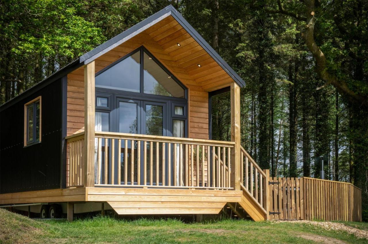 Cabin In The Woods - 1 Bedroom Lodge - Kilgetty Stepaside  Esterno foto