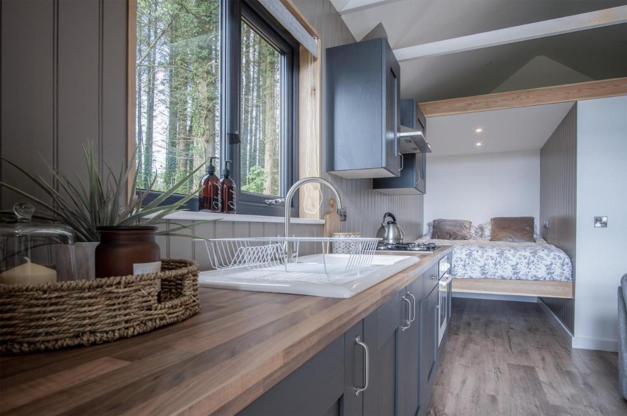 Cabin In The Woods - 1 Bedroom Lodge - Kilgetty Stepaside  Esterno foto