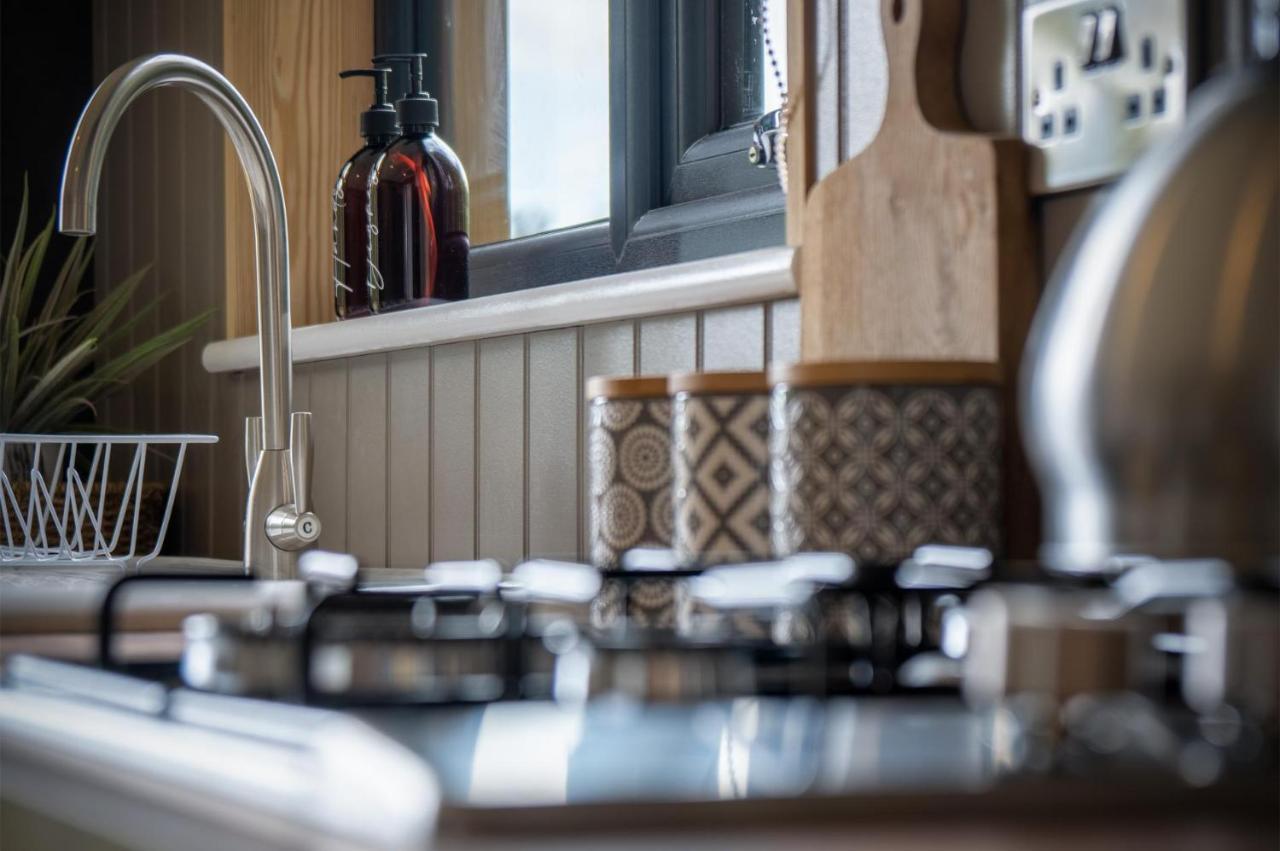 Cabin In The Woods - 1 Bedroom Lodge - Kilgetty Stepaside  Esterno foto